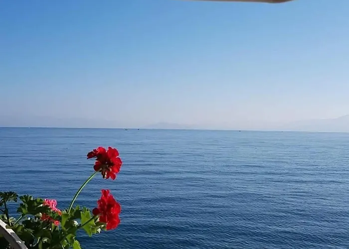 Justinian 3* Πόγραδετς